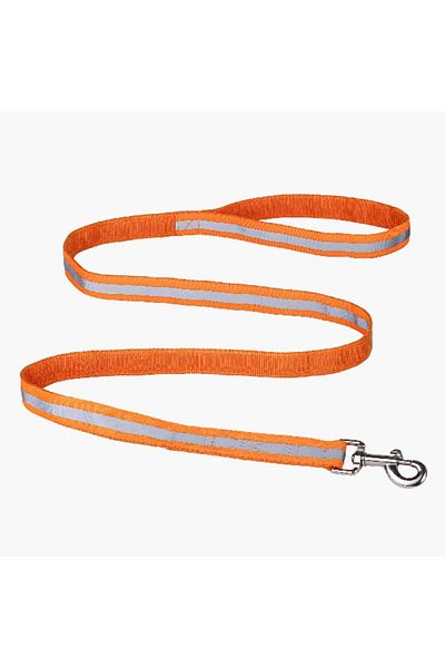 Home Box Canine Glow-in-Dark Pet Leash