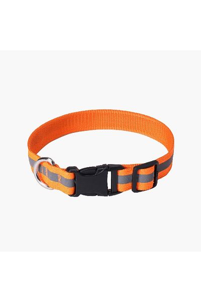 Home Box Canine Glow-in-the-Dark Pet Collar - Medium