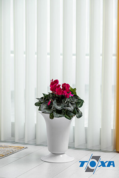 ToXA 5.2 Litre Altın Kesme Çiçek Vazosu Dekoratif Süs Uzun Tabaklı Plastik Saksı