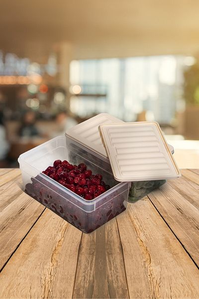 Nesto Home 2500 ml Deep Refrigerator - Set of 2 Organizer, Freezer and Microwave Storage Container 2X2500