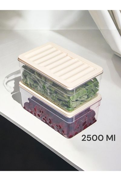 Nesto Home 2500 ml Deep Refrigerator - Set of 2 Organizer, Freezer and Microwave Storage Container 2X2500