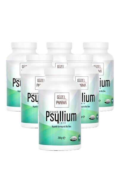 Güzel Ada Gıda Psyllium Karnıyarık Otu Tozu 6x250 gr
