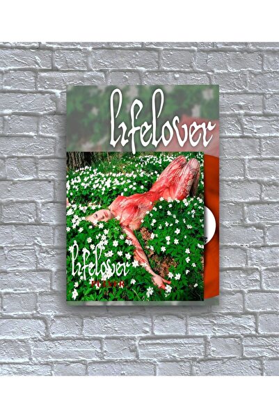 icase Lifelover muzički bend, poster, slika, velika veličina