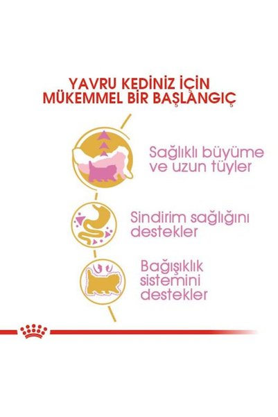 Royal Canin Persian Kitten - İran Yavru Kedi Maması 2 kg