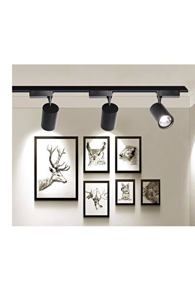Genel Markalar 3 Adet 30w Ray Spot Vitrin Mağaza Aydınlatması 1 Metre Raylı S...