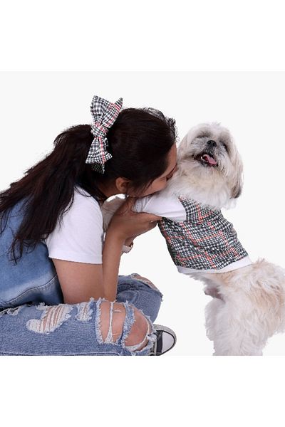 Home Box Canine Regal Elegance Hoodie - Small