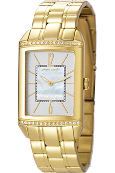 Pierre Cardin PC105532f06 Wristwatch