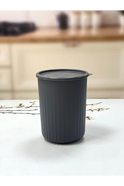 VİP AHMET Rüya Silindir Saklama Kabı 2,1 Lt Renkli