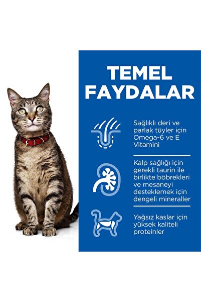 Hill's Hills Kuzulu Yetişkin Kuru Kedi Maması 3 Kg