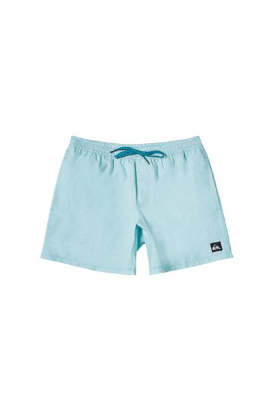 Quiksilver Everyday Deluxe Volley 15 Men's Blue Volley Short Men's Volley Short