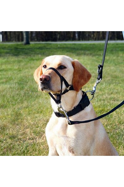 Trixie Expert Dog Training Collar 22cm S 533132
