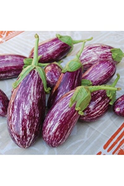 Köy Tohumları 100 Adet Tohum Organik Köy Nadir Kurutmalık Antep Patlıcanı Toh...