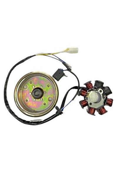 Mondial MONDİAL REVİVAL 50 STATÖR VE MANYOTA TAKIMI 4 KABLOLU