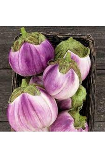 Köy Tohumları 5 Adet Tohum Nadir Hindistan Sırık Bal Mumu Balmumu Kabağı Kaba...