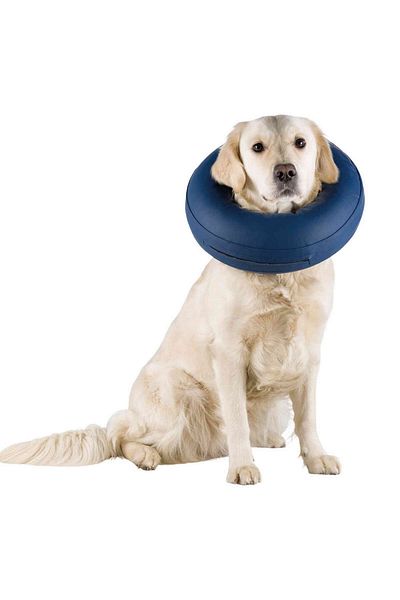 Trixie Blue Inflatable Collar - Dog Protector, L-Xl 451121