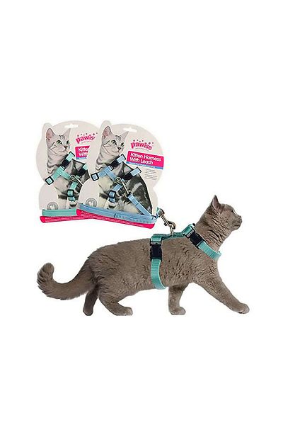Pawise Cat Chest T.(14.5-2518-30cm) Green-Blue S Dpmah