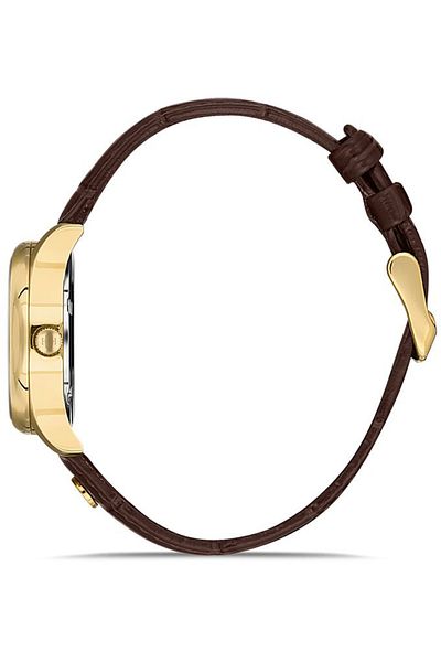 Hislon Ql113g-09kg Women's Wristwatch