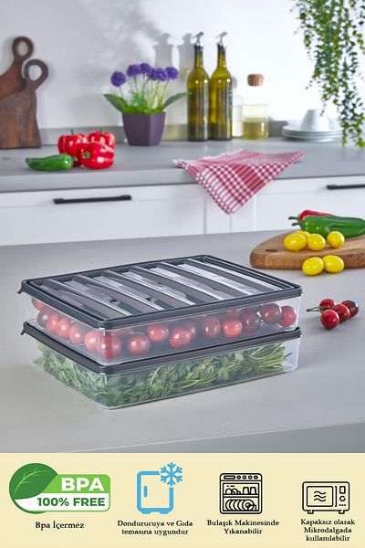 Alacarte 2 Pieces 2500 ml Refrigerator Freezer Organizer and Storage Container