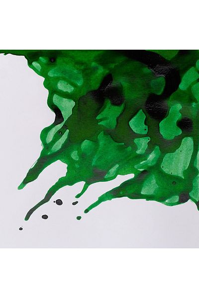 Winsor Newton حبر رسم وينسور آند نيوتن 14 مل أخضر لامع 046