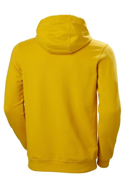 Helly Hansen BOX HOODIE KAPİŞONLU