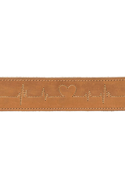 Trixie Msa-Shop Dog Collar Thick Leather 38-47cm 40mm m Brown