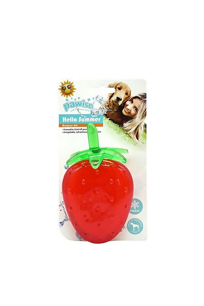 Pawise Summer Dog Toy Strawberry Dpmah