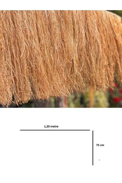 Bygolden Hasır Püskül Otu Saçaklı Ot 1,20 Metre x 75 cm