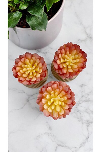DDTREND Artificial Cactus Sempervivum Tomentosum Succulent 3-Piece Beige Pot ...