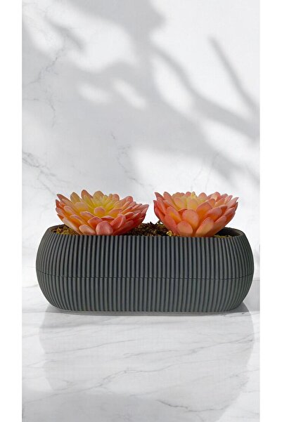 DDTREND Cactus artificial Sempervivum Tomentosum Suculent Gri albastru cobalt...