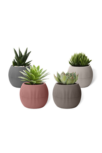 ToXA 4 Adet 0.15 Litre Karışık Renkli Minik Mercan No1 Kaktüs Sukulent Saksısı Plastik Saksı 88x68mm