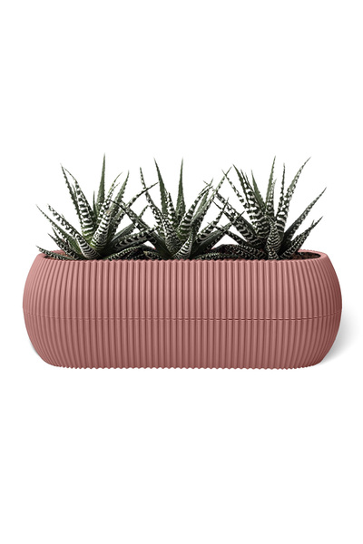 ToXA 0.55 Litre Pastel Pembe Uzun Mercan Saksı No1 Plastik Kaktüs Sukulent Sa...