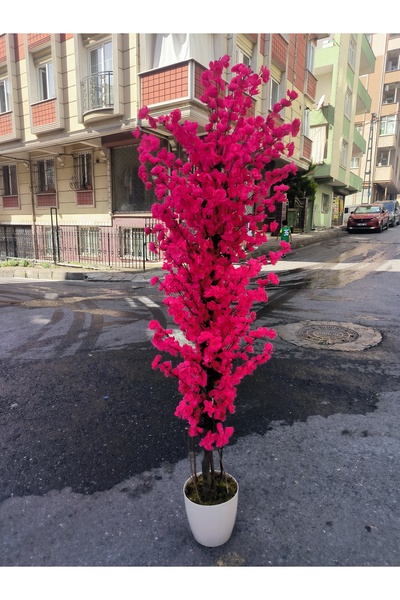 RUZGARCİCEK Rüzgar Yapay Çiçekçilik 180 cm Beyaz Saksıda Fuşya Bahardali