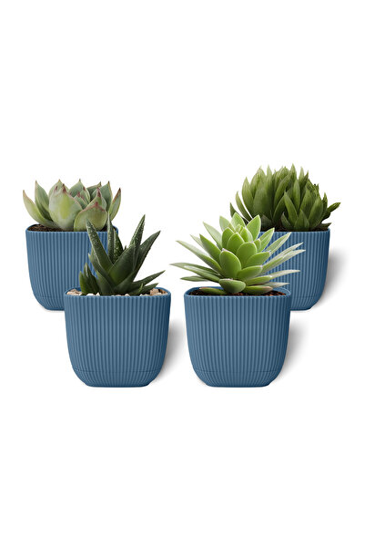 ToXA 4 Adet 0.27 Litre Mavi Mercan Kare Saksı Mini Boy Kaktüs Sukulent Saksıs...