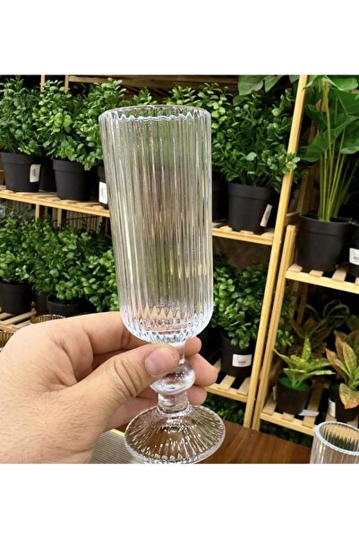 Kapris Home 6'lı Cam Bardak 160ml Kap-079