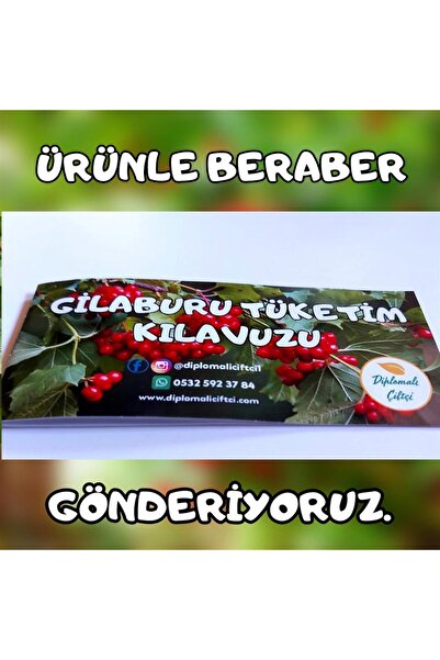 Diplomaliciftci Gilaburu Meyvesi (2.5 KG)