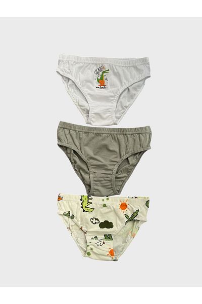 elmas kids Slip din bumbac pentru băiat, cu model de dinozaur, alb, gri ecru, 3 piese