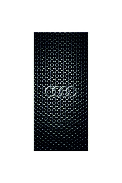 Hobi Butik Araba Kapı Direk Kaplama Folyosu Sağ ve Sol 2adet Audı