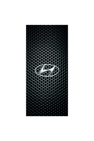 HMNL Araba Kapı Direk Kaplama Folyosu Sağ ve Sol 2adet Hyundaı