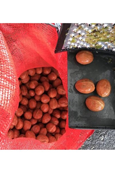 MURATTİ Muratti Yaş Ceviz Kabuk Soyma Makinası 50LT