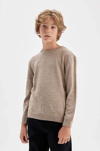 DeFacto Boy's Beige Crew Neck Basic Plain Knitwear Sweater A4992A824Wn