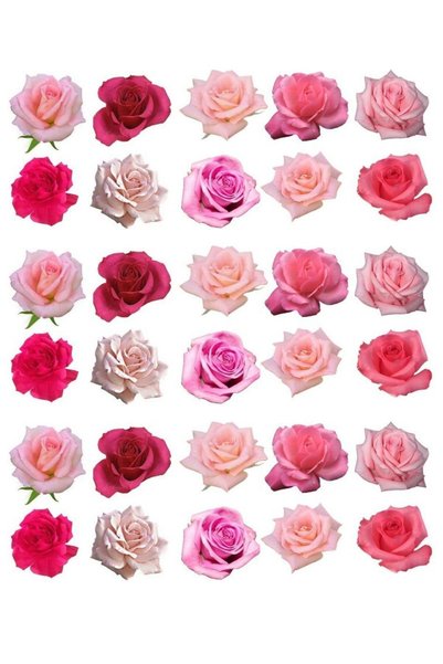 hediyehobihersey Pink Roses Flowers Cake A4 Edible Ornament Pastry Cookie Sugar Batter Paper Print Printed