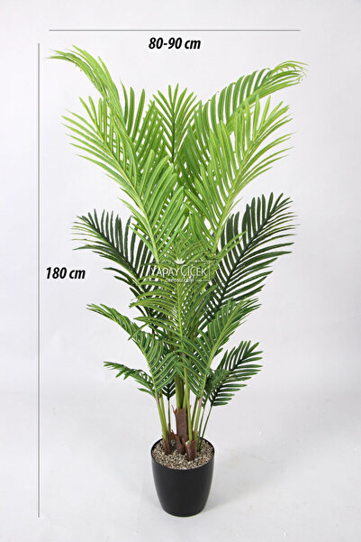 Yapay Çiçek Deposu Yapay Areka Ağacı Gerçek Dokulu 17 Yapraklı 185