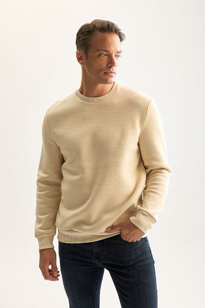 DeFacto 3-fädiges, dickes Sweatshirt aus Baumwolle mit Fleece-Innenseite und normaler Passform, Rundhalsausschnitt D7876axns