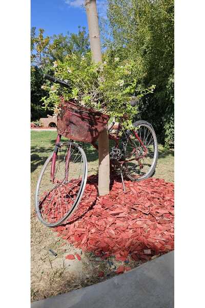 Peysan Turuncu Renkli Malç 40 Litre 2-5 Cm Renkli Ağaç Kabuğu Renkli Ağaç Yongası Bahçe Dekor Peyzaj Mulch