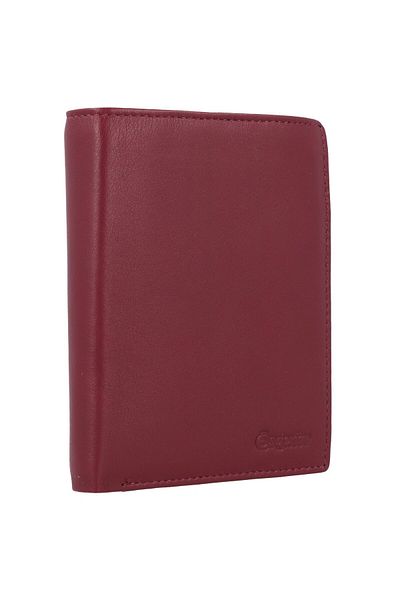 Esquire Viktoria Geldbörse RFID-LED 10 cm