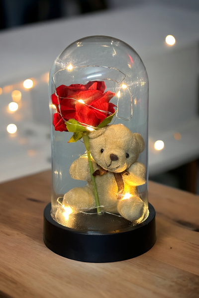 Zemtigo Fanus Içerisinde Peri Led Işıklı Solmayan Kırmızı Gül Tutan Peluş Ayıcık Lamba