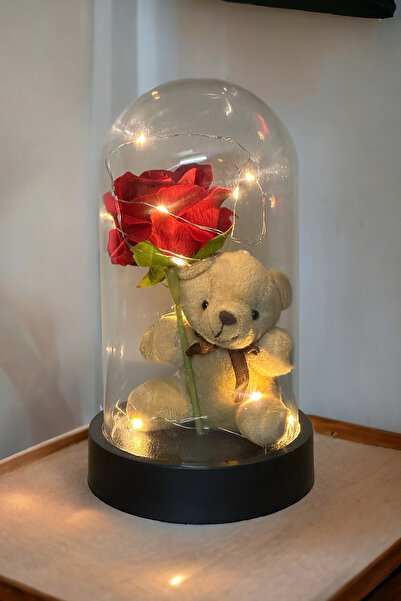 Genel Markalar Fanus Içerisinde Peri Led Işıklı Solmayan Kırmızı Gül Tutan Pe...