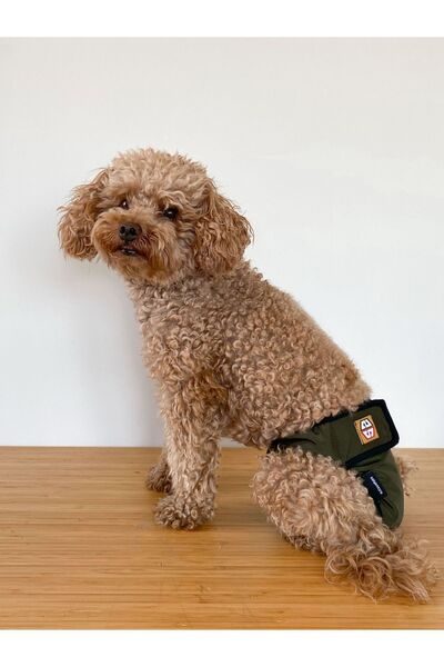 salya store Haki Köpek Regl Külotu, Dişi Köpek Çiş Bezi