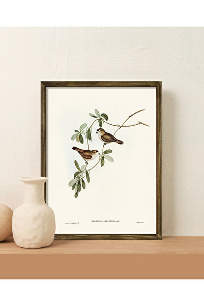 Vetro Design Pictură înrămată cu păsări pe o ramură