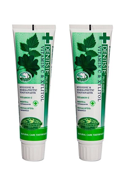 Dentiste nighttime diş macunu 2 adet